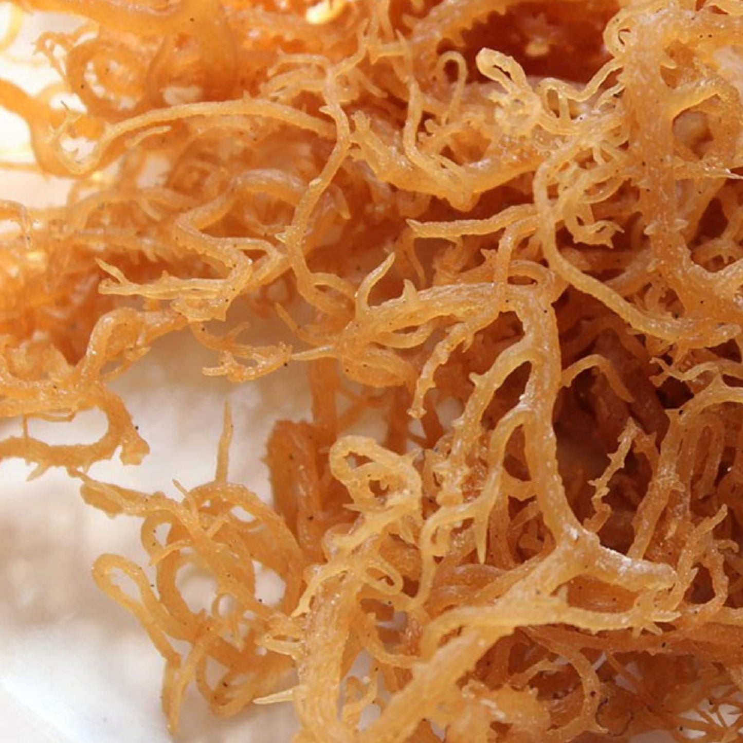 HalalEveryDay | Wildcrafted Irish Sea Moss | 100% Pure All Natural | Vitamin & Mineral Rich | No Preservatives | Golden | 4 oz