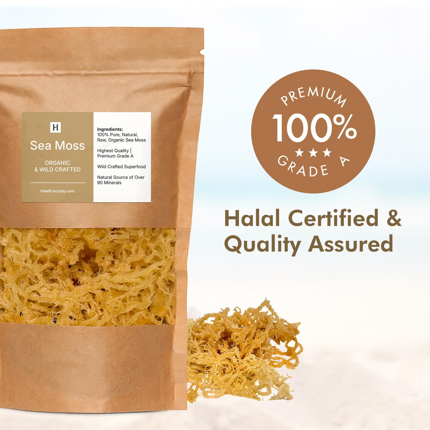 HalalEveryDay Wildcrafted Irish Sea Moss - 1lb Bag- 100% Pure All Natural | Vitamin & Mineral Rich | No Preservatives | Golden | 16 oz