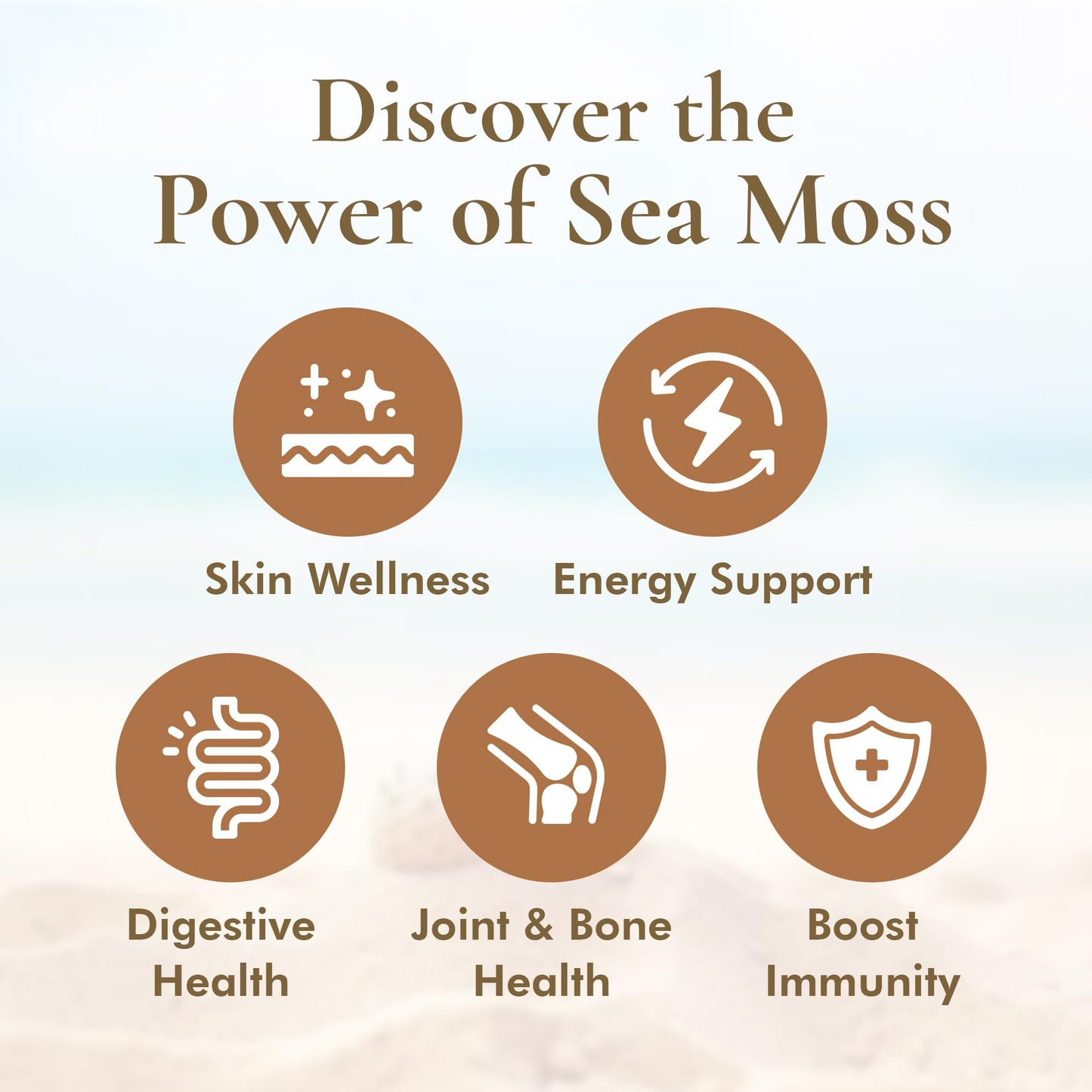 HalalEveryDay Wildcrafted Irish Sea Moss - 1lb Bag- 100% Pure All Natural | Vitamin & Mineral Rich | No Preservatives | Golden | 16 oz