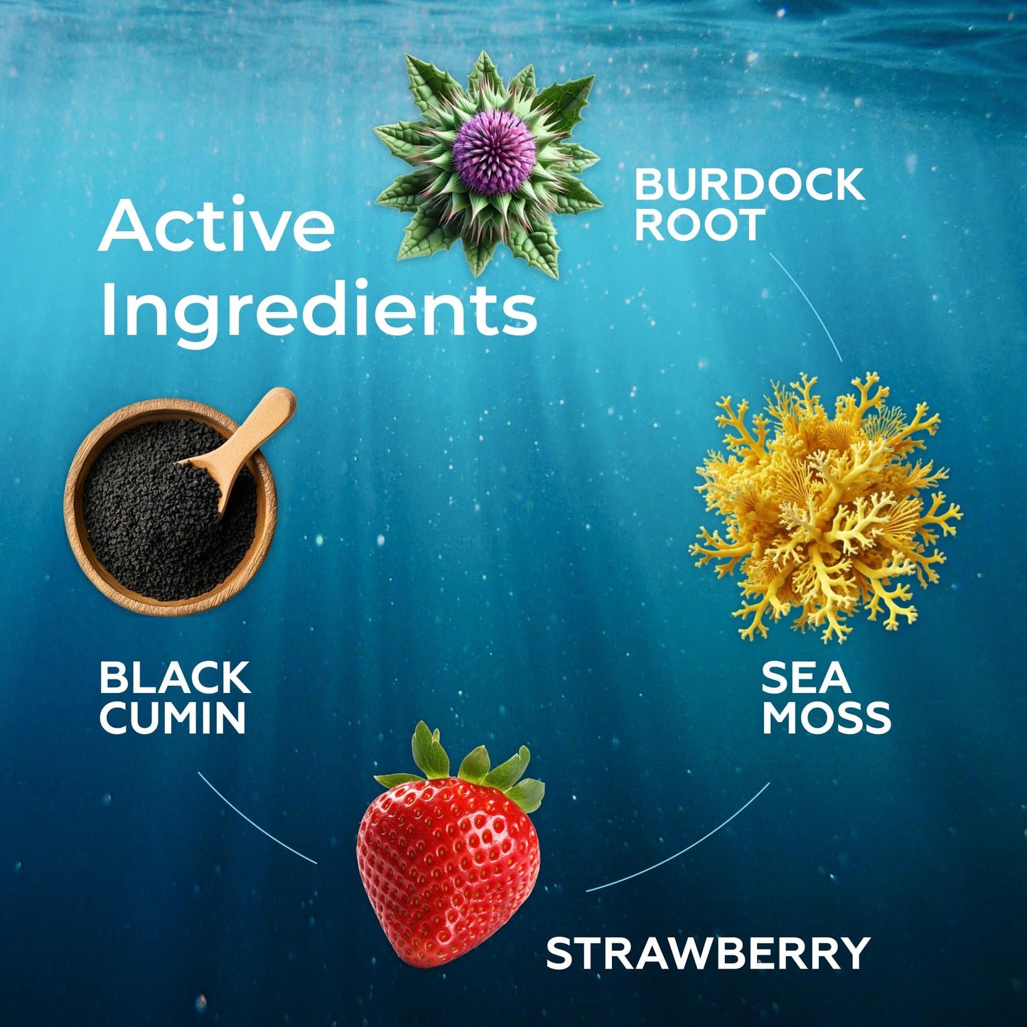 Sea Moss Gel & Liquid Drops Bundle – Wildcrafted Strawberry Seamoss with Burdock Root, Black Cumin & Spirulina – Fast-Absorbing, Nutrient-Dense Superfood – Vegan, Made in USA
