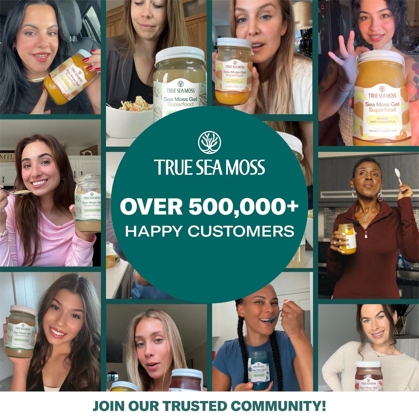 TrueSeaMoss Sea Moss Gel – Made in USA – Wildcrafted Seamoss, Fresh Fruits & Sea Vegetables – Soursop, Pack of 1 (Labels May Vary)